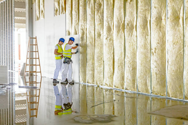 Types of Insulation We Offer in SC